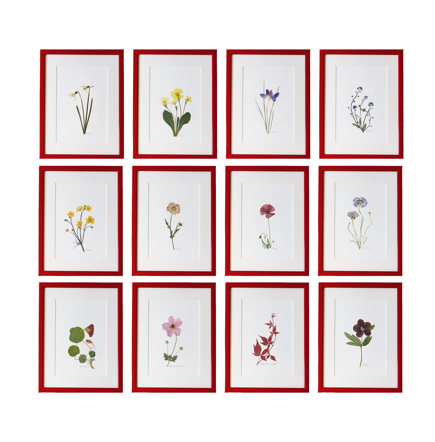 Seasonal Prints: January - December