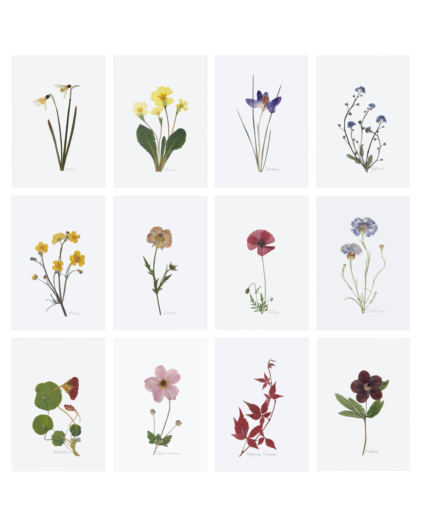 Seasonal Prints: January - December