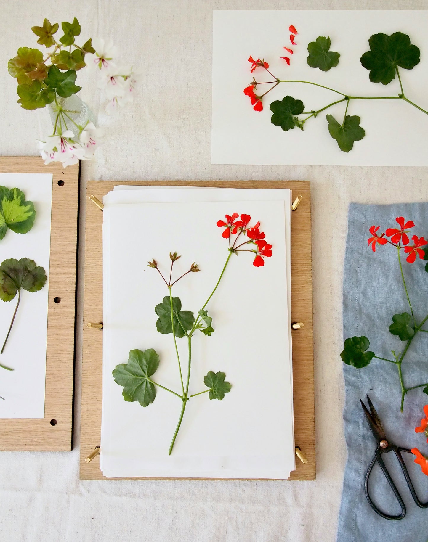 Flower Pressing at C.Atherley, 16th October