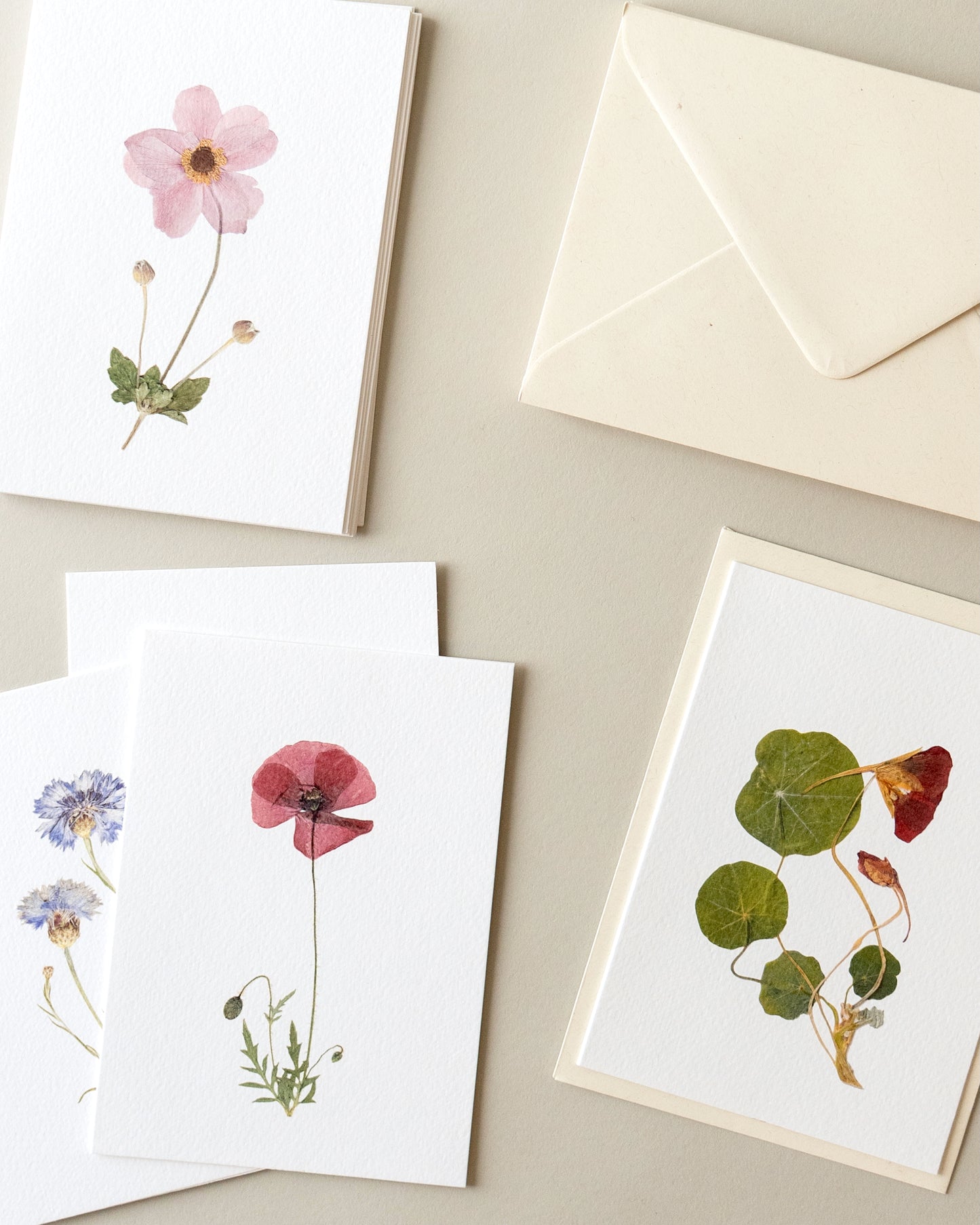 Seasonal Cards Set of 12