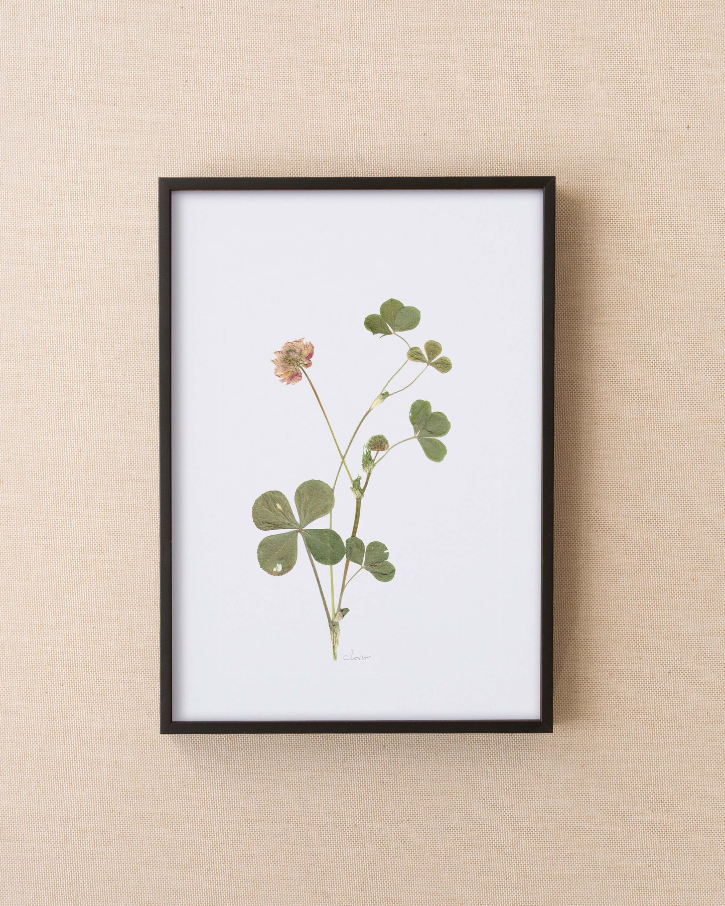 Four Leaf Clover Print