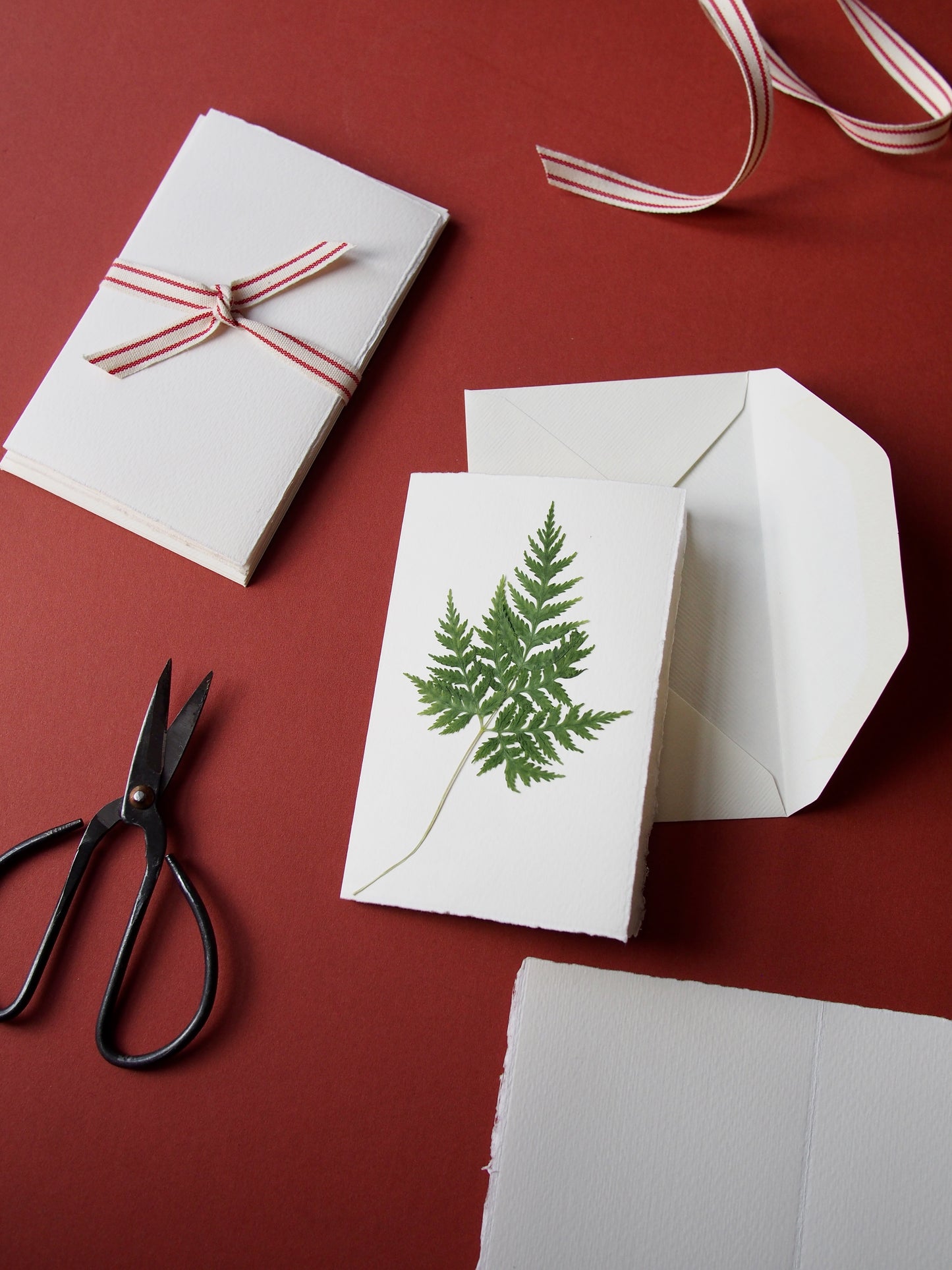 Blank Greeting Cards & Envelope Set