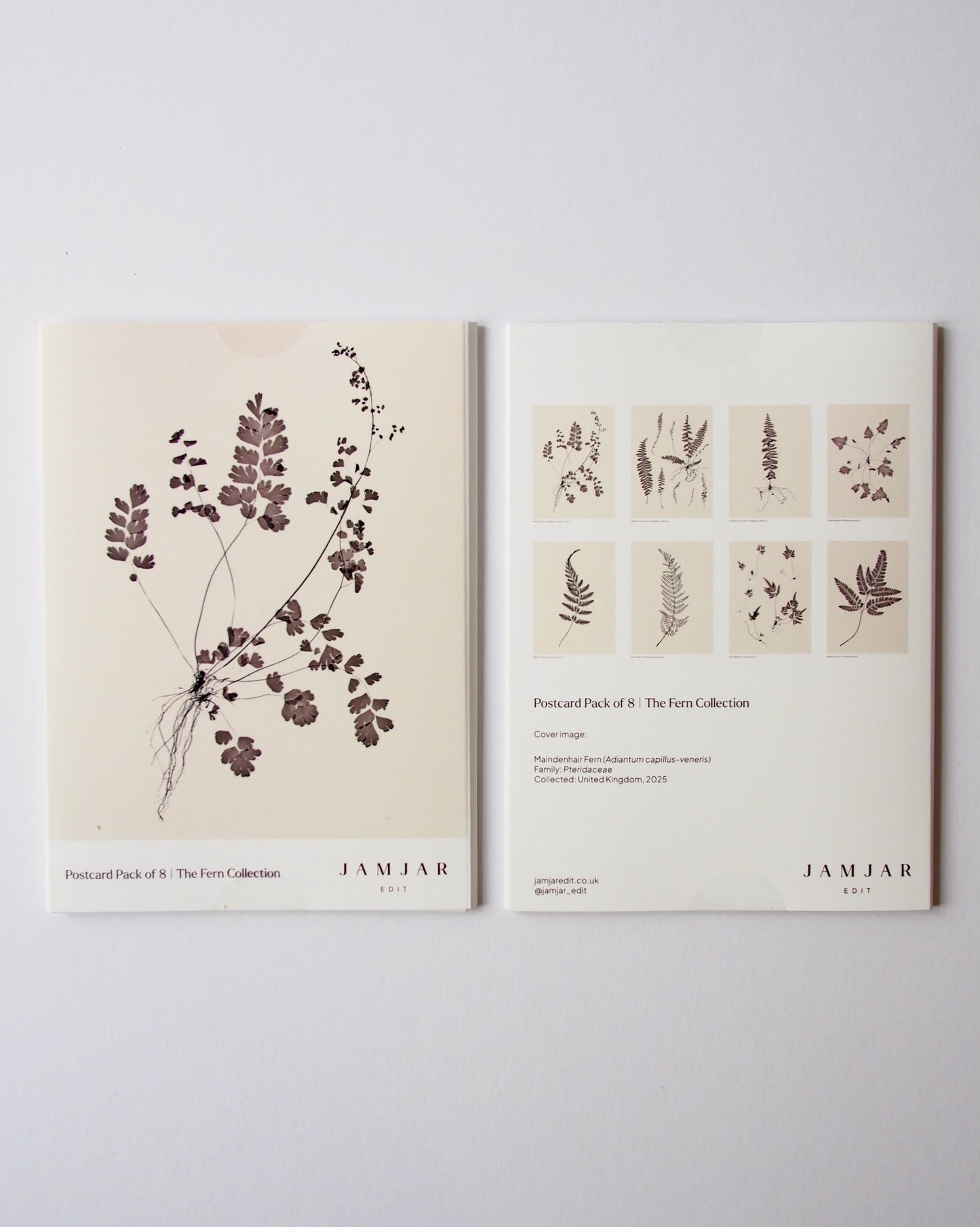 Postcard Pack - The Fern Collection