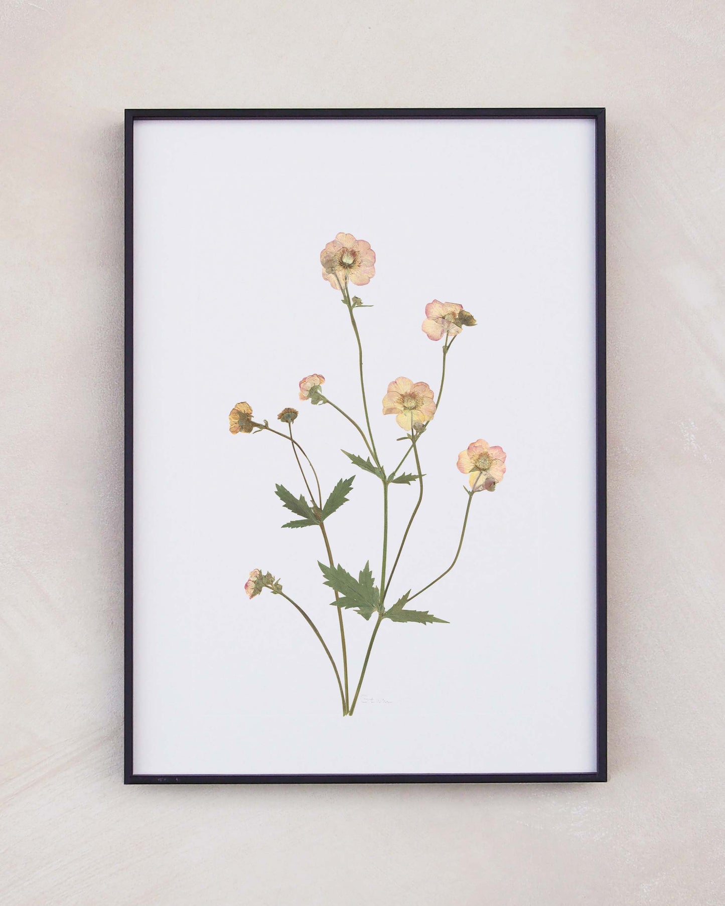 Geum