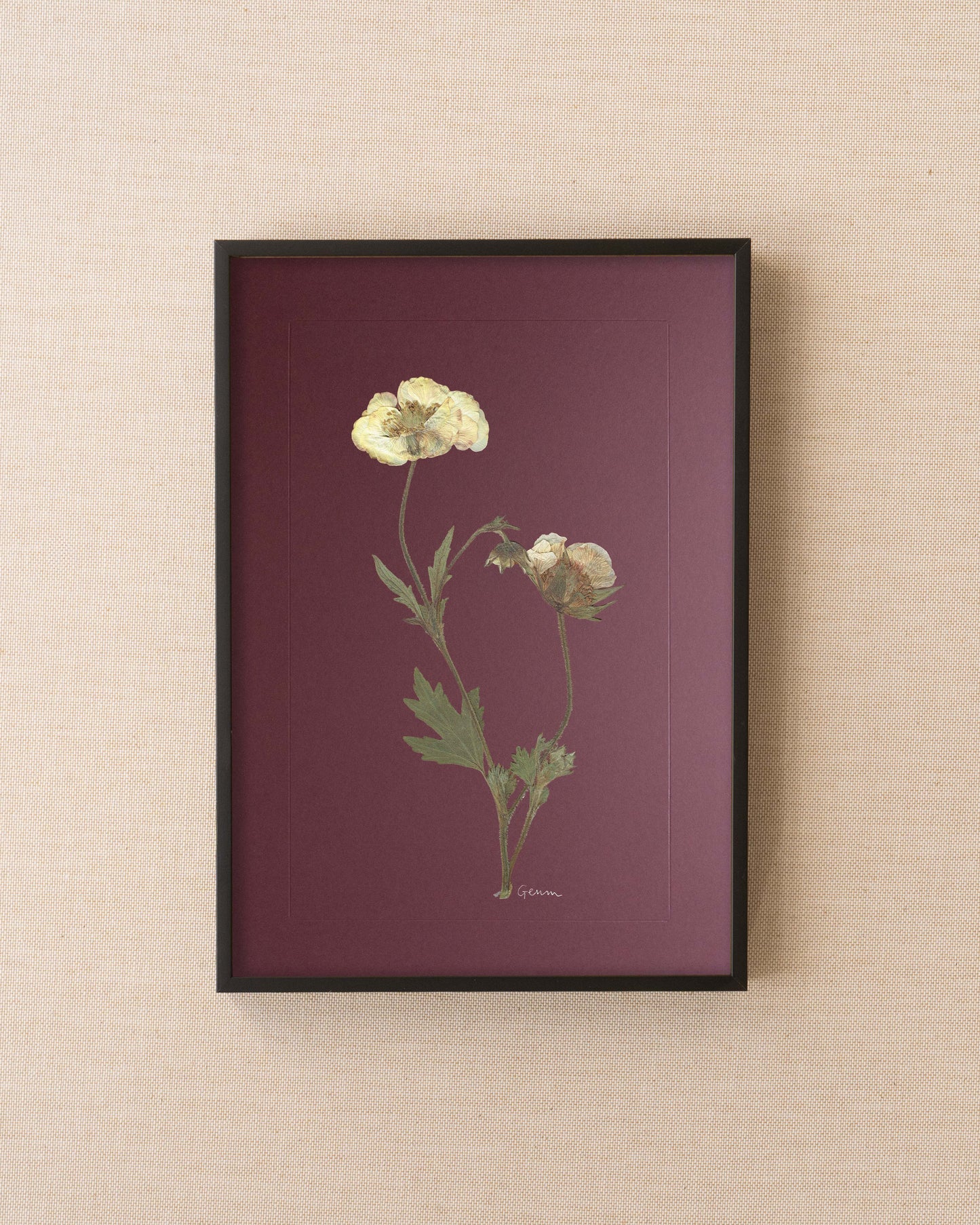 Geum