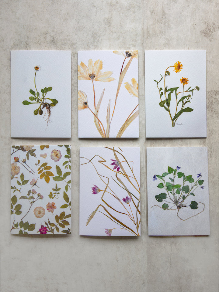 Greetings Card Set