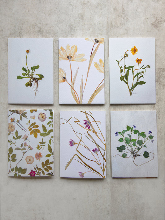 Greetings Card Set