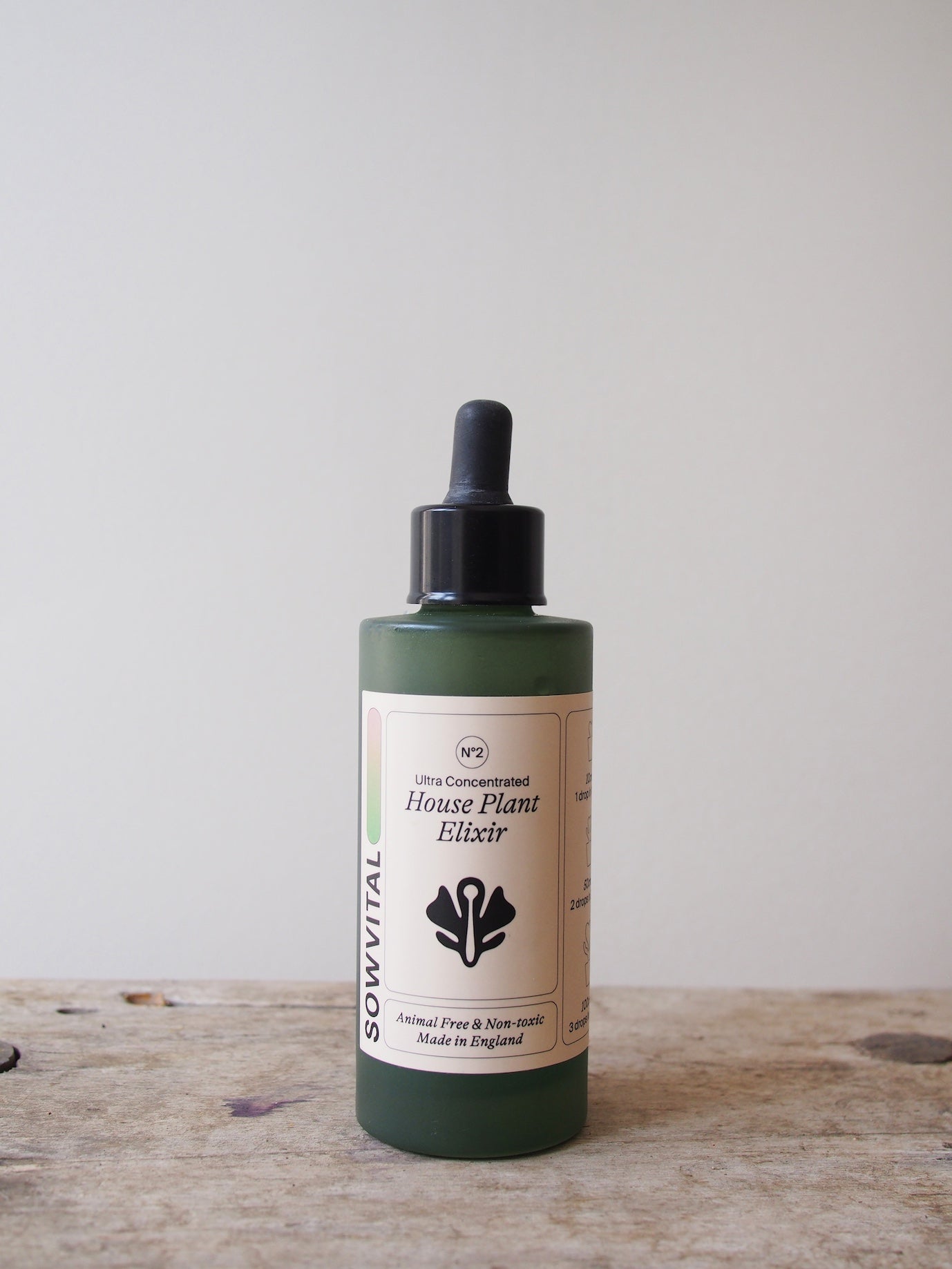 House Plant Elixir