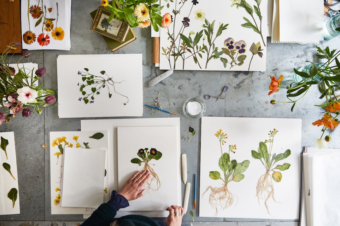 Flower Pressing at Highgrove Estate, Tetbury, Gloucestershire 23rd July