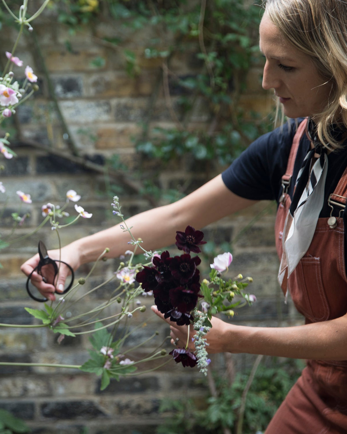 Garden Record: Late Summer