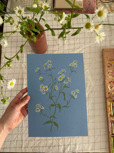 Pastel Daisy