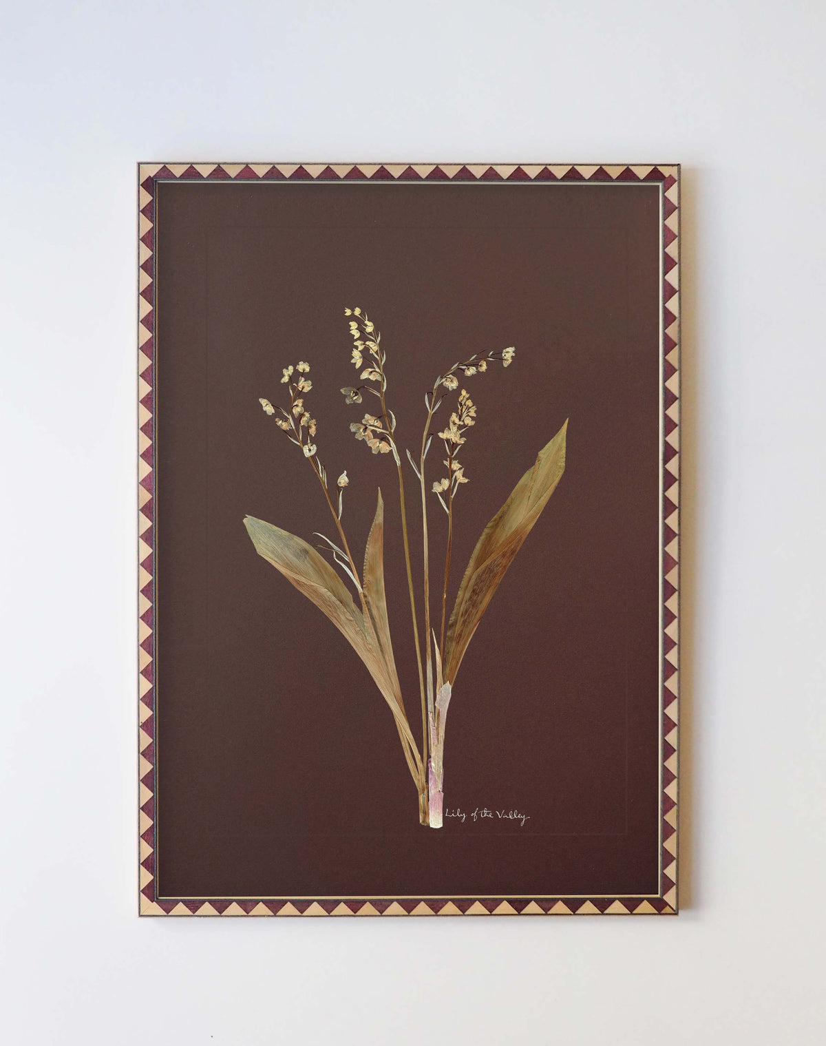 Lily of the valley