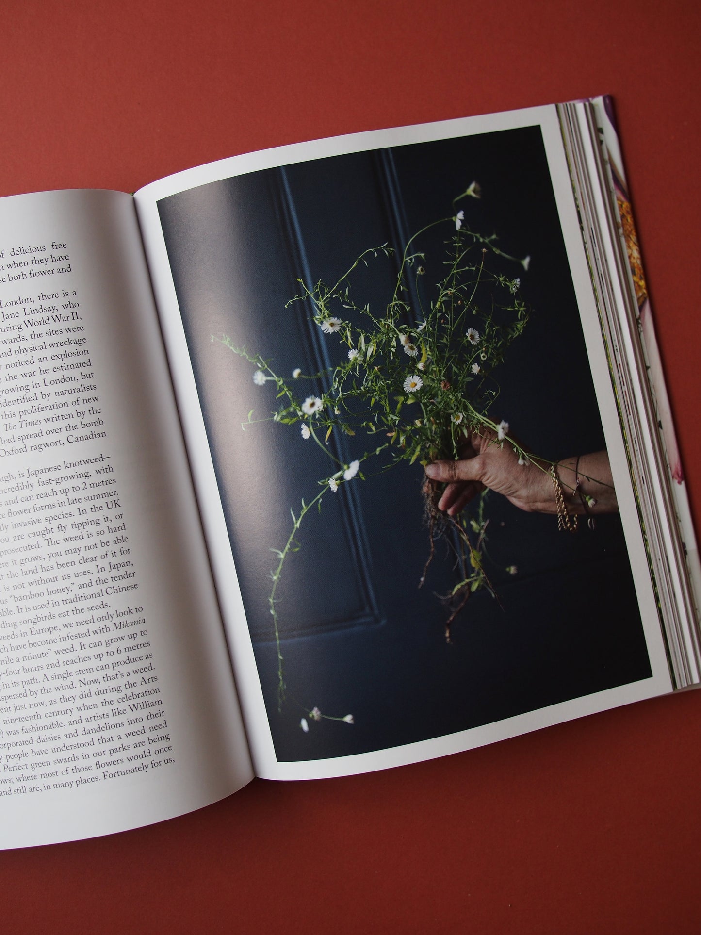 The Modern Flower Press