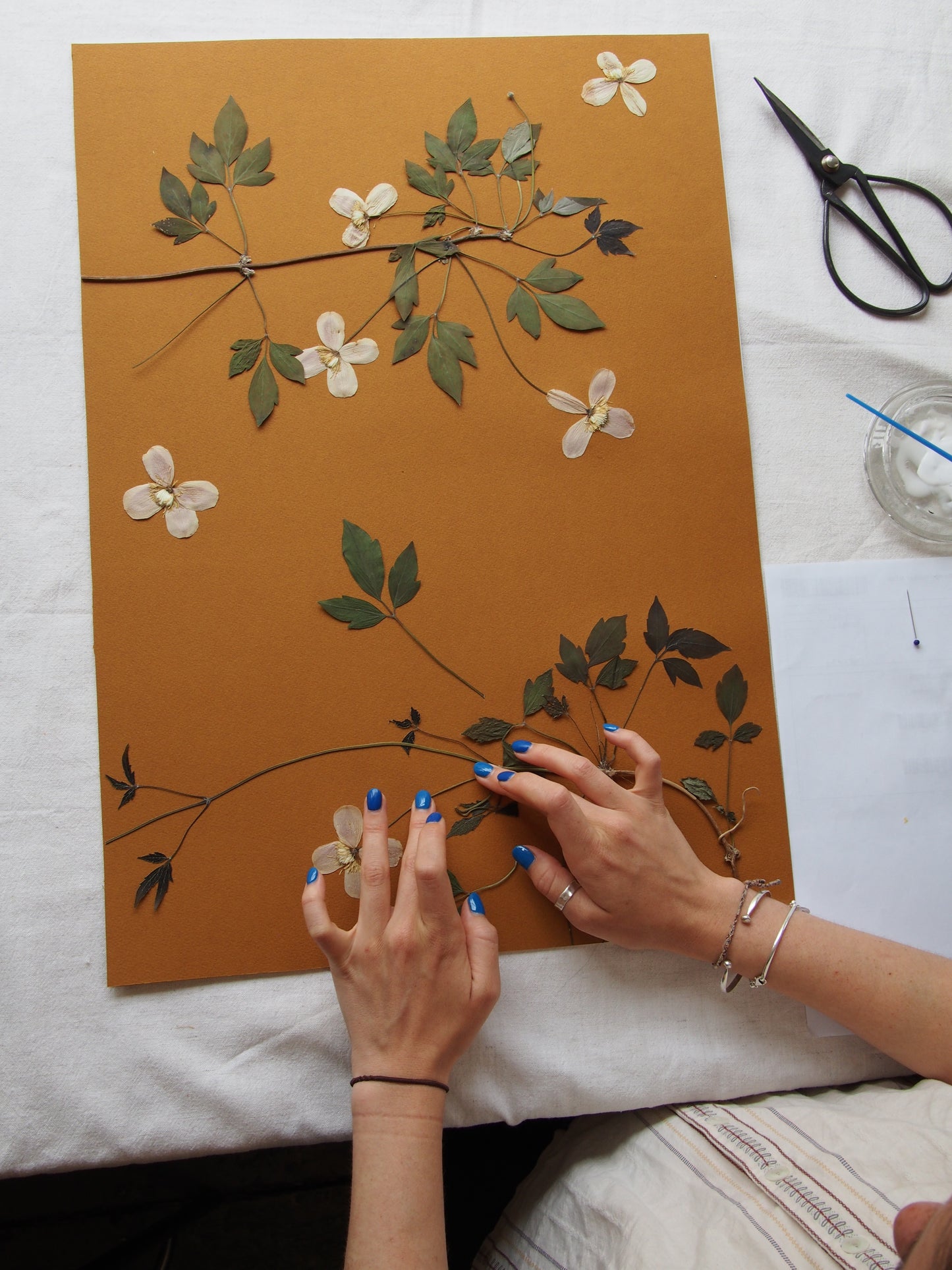 Clematis Triptych