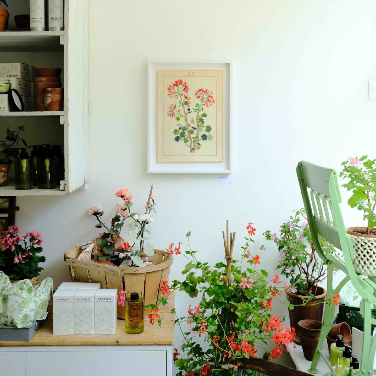 Flower Pressing at C.Atherley, 16th October