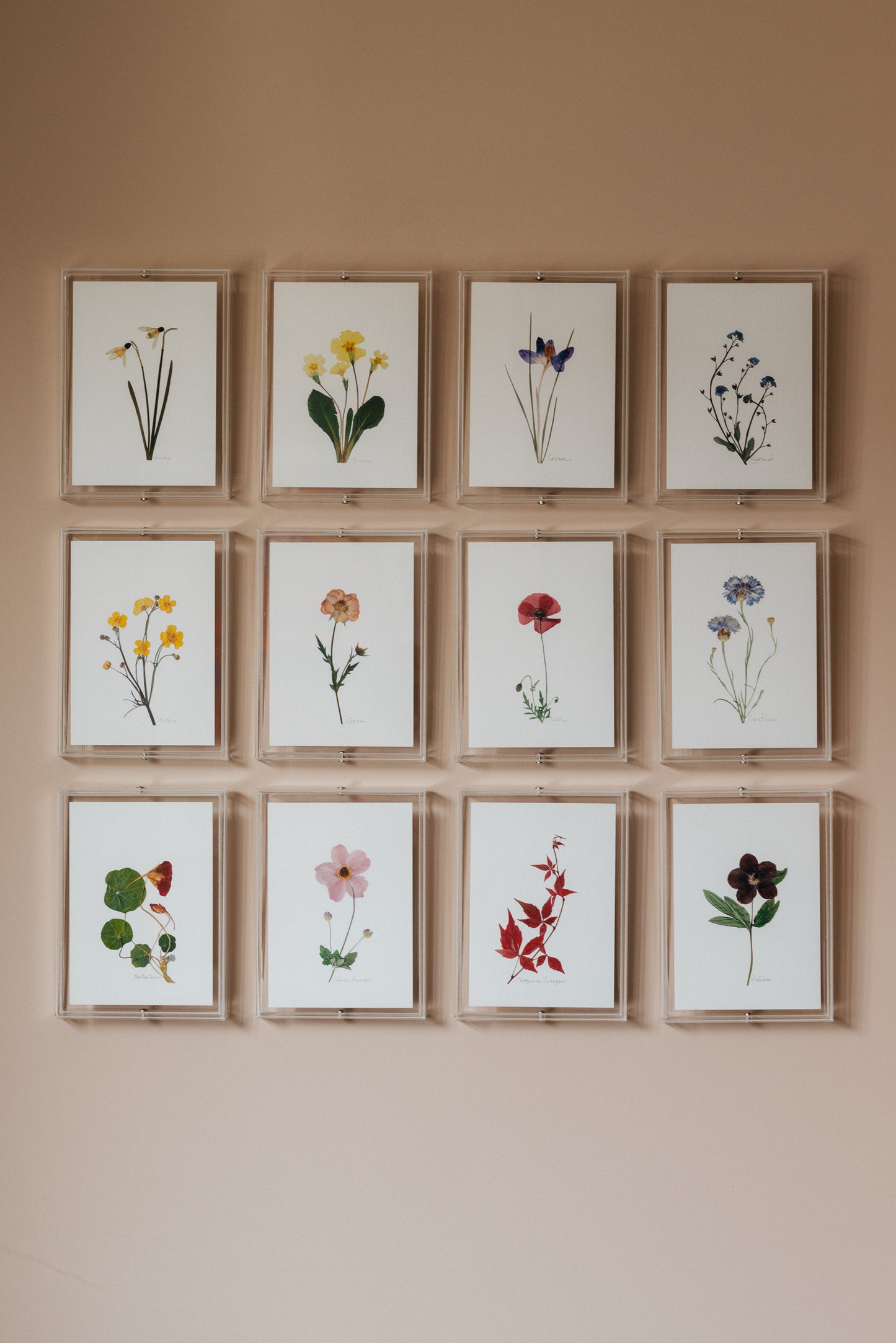 Birth Month Prints: January - December