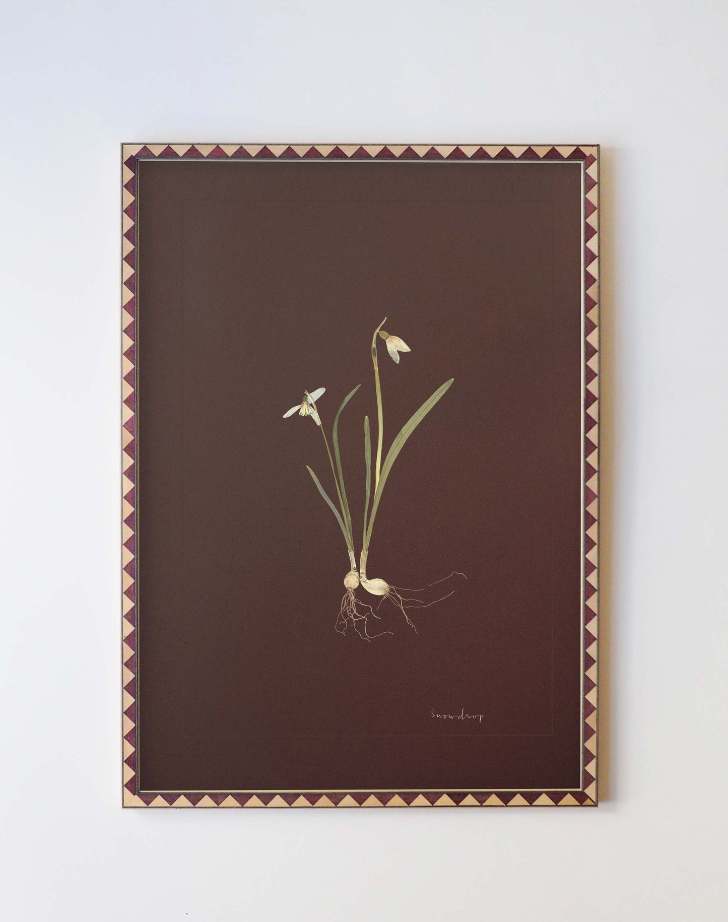 Snowdrop
