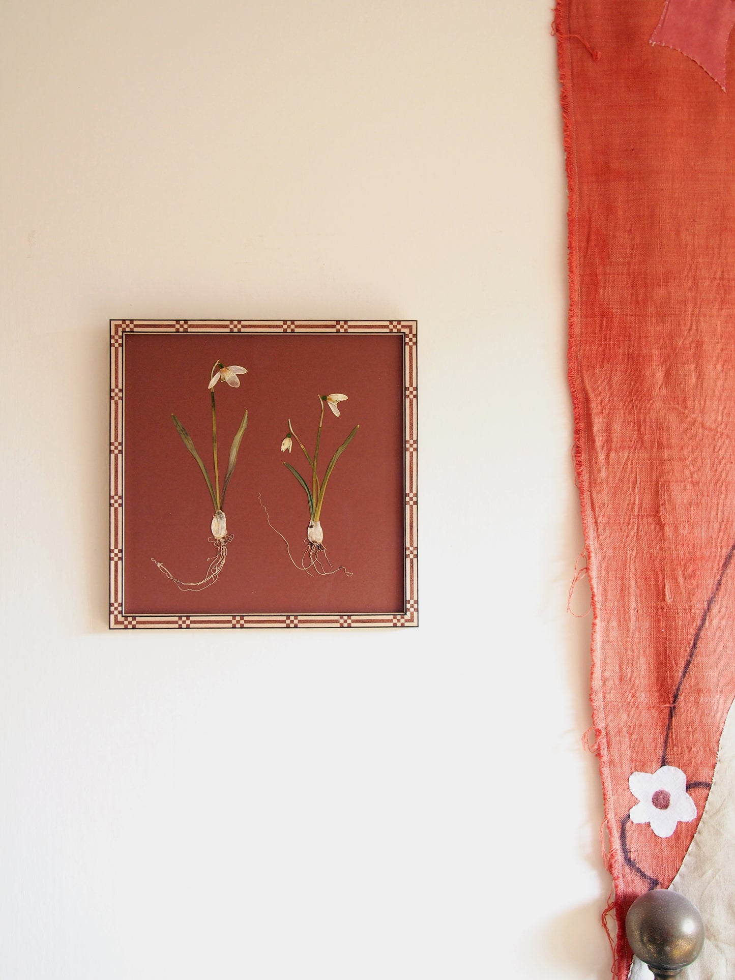Snowdrop Pair