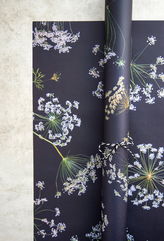 Ammi Majus Wrapping Paper