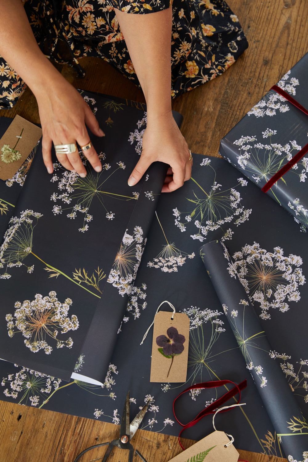 Ammi Majus Wrapping Paper