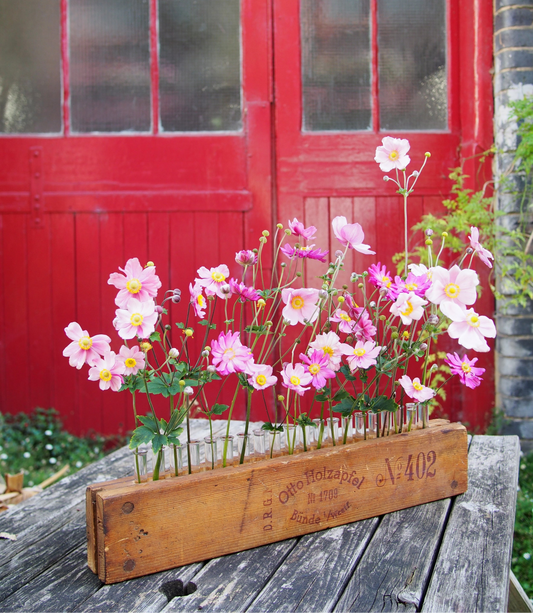 Restocked: Our Signature Cigar Press Vase