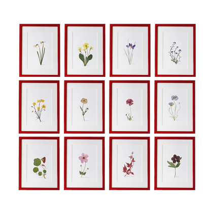 Seasonal Prints: January - December