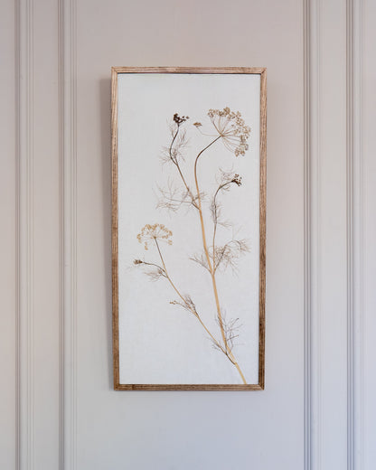 Fennel