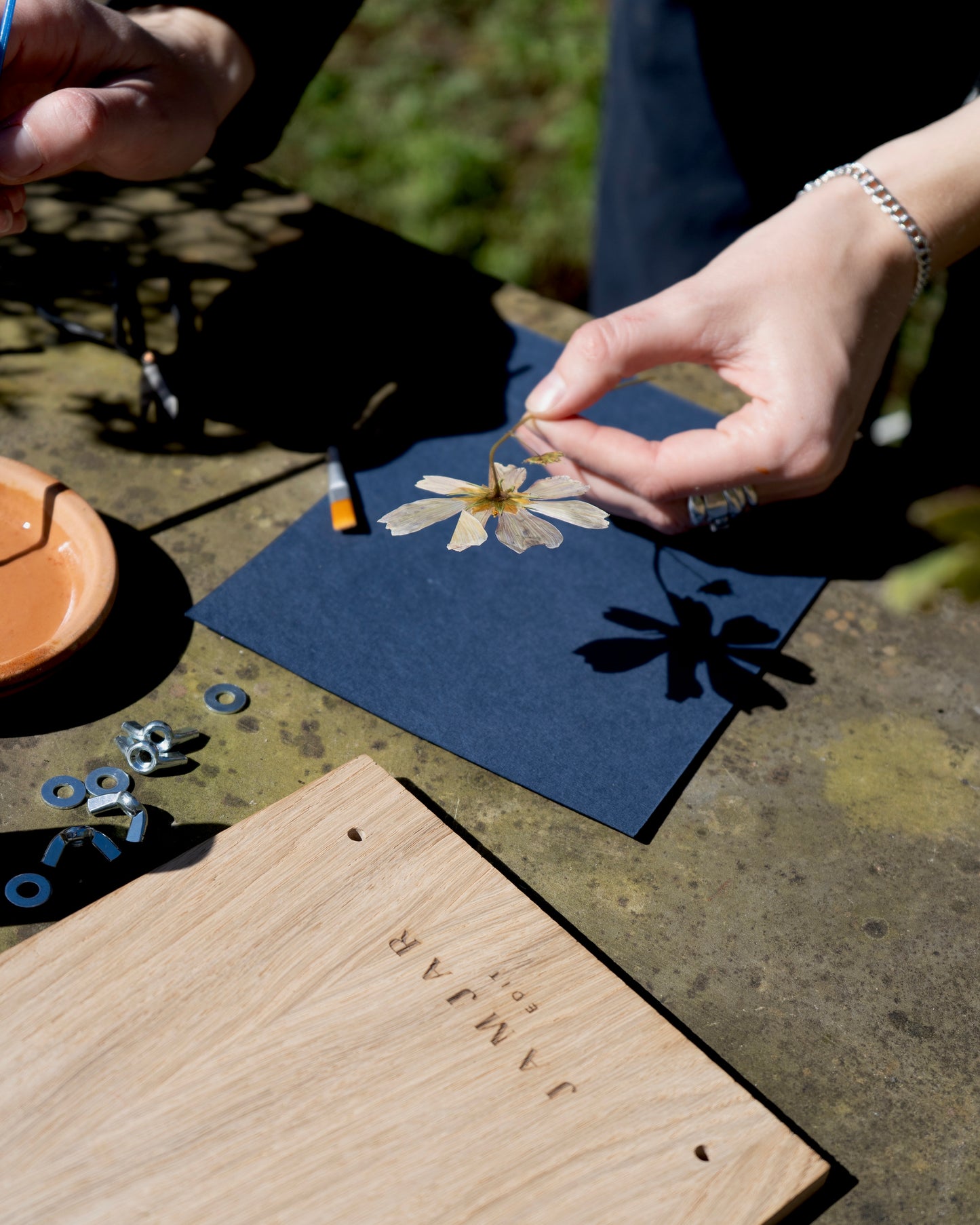 Press & Mount: Flower Pressing Kit