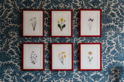 Seasonal Prints: January - December