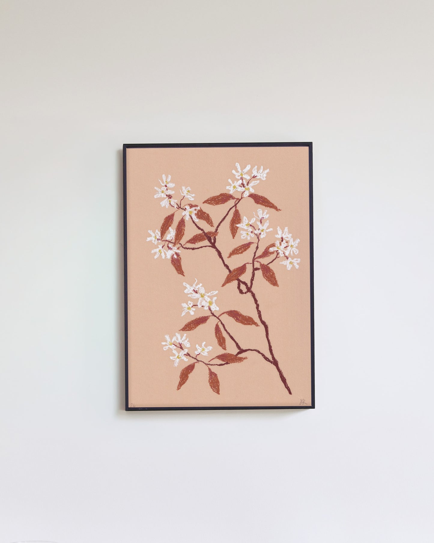 Pastel Amelanchier