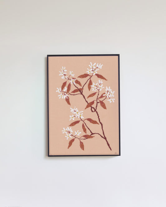 Pastel Amelanchier