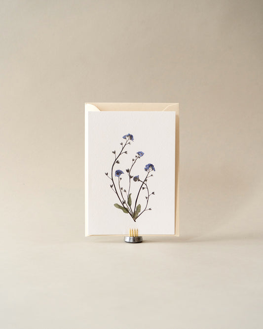 Card - April Forget-Me-Not