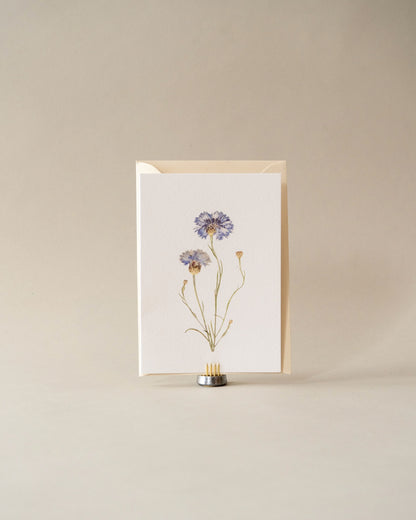 Card - August Cornflower
