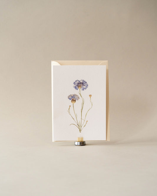 Card - August Cornflower
