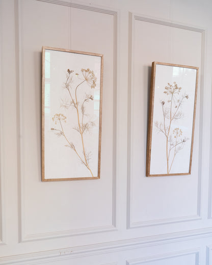 Fennel
