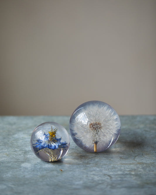 Botanical Paperweights