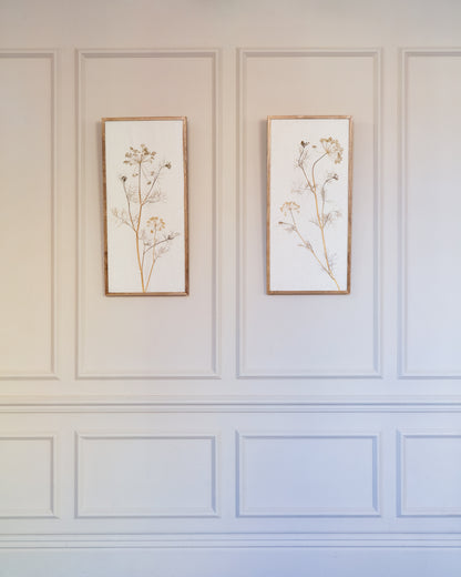 Fennel