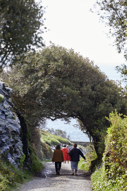 Flower Pressing Workshop at Prussia Cove, Cornwall, 29th April
