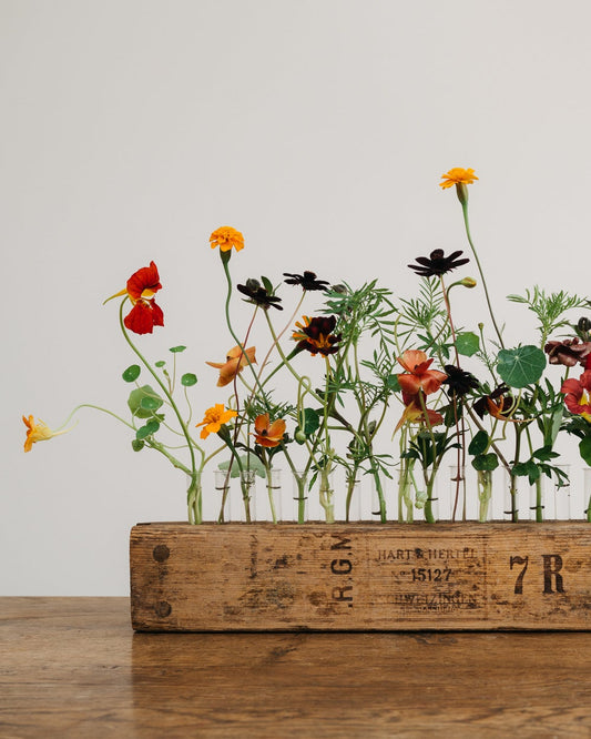 Cigar Press Vase