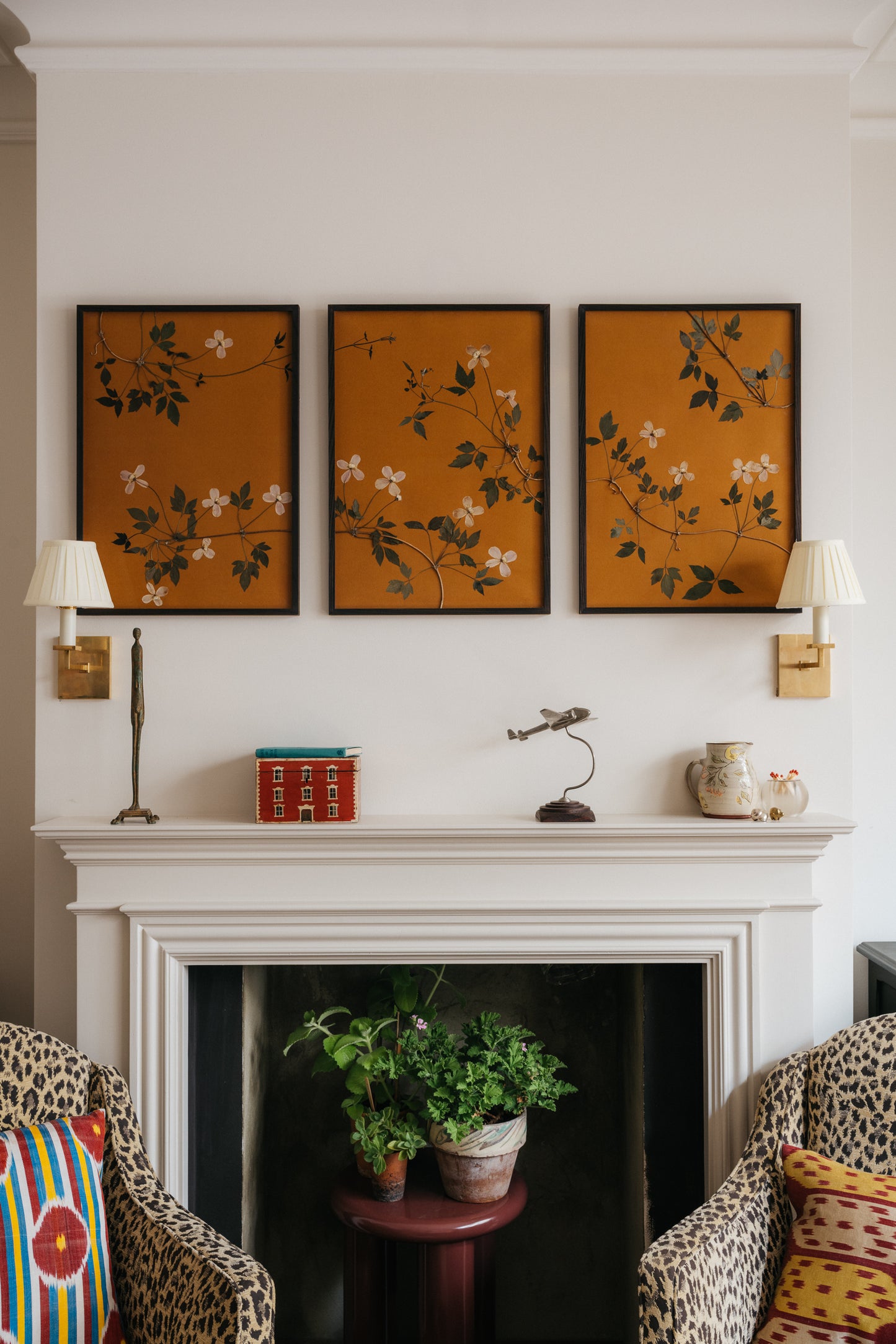 Clematis Triptych