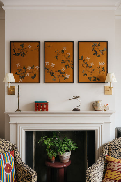 Clematis Triptych
