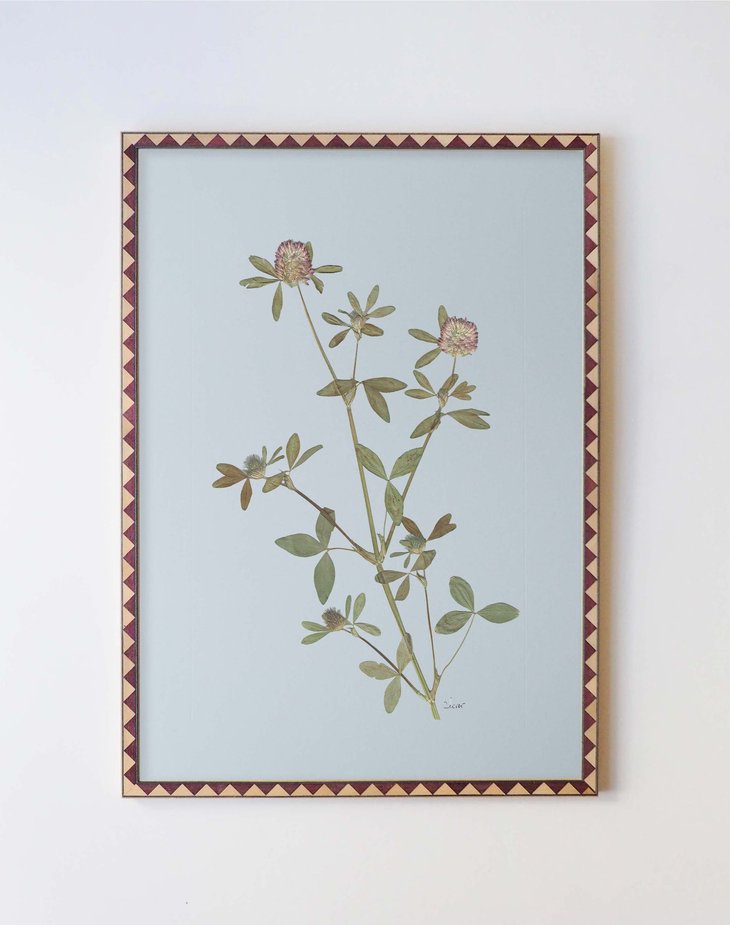 Clover