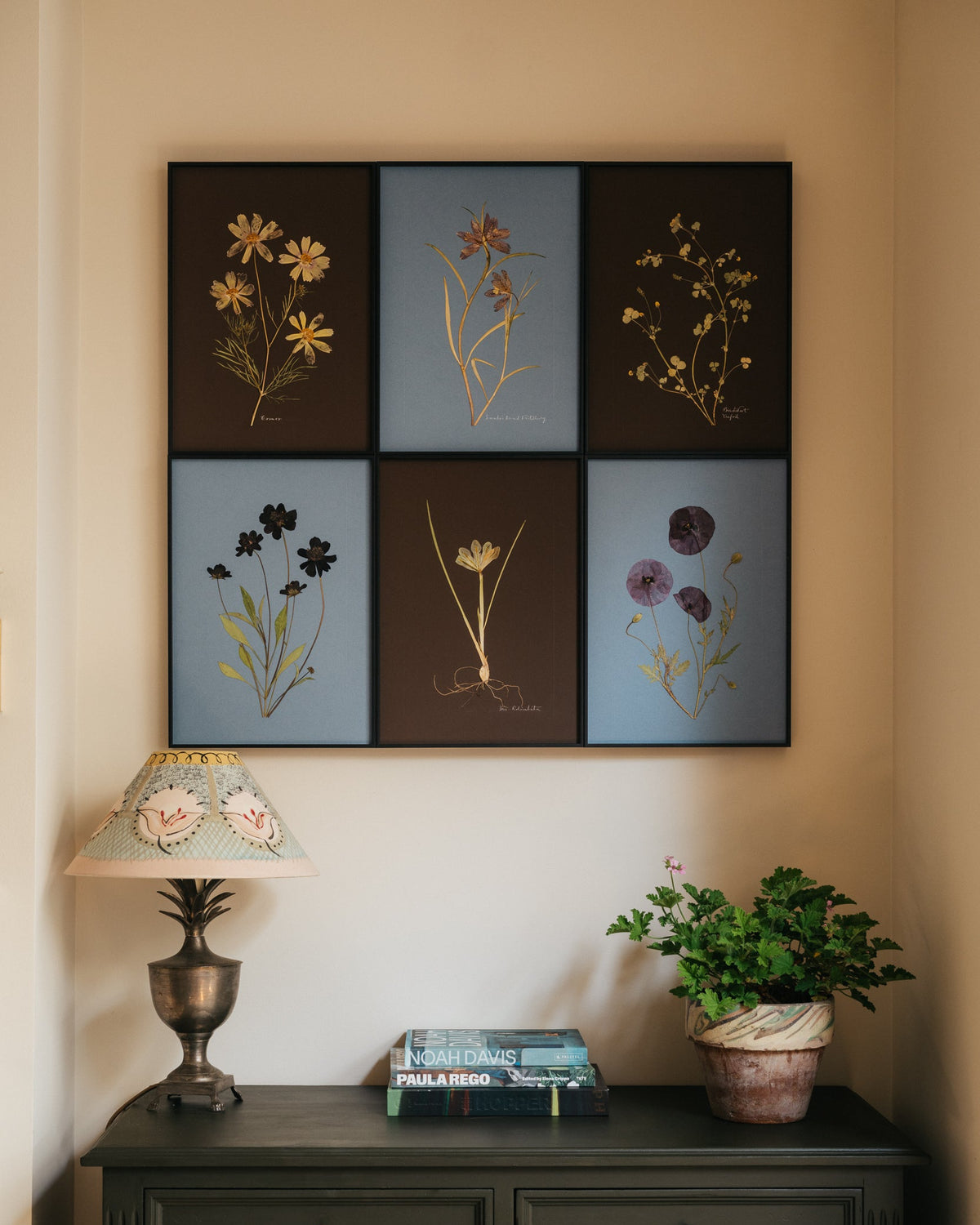 Framed botanical pressed flower artworks above a black dresser with a lamp and books.