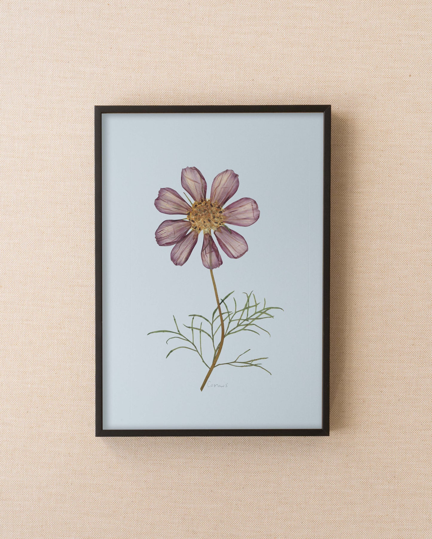 Cosmos