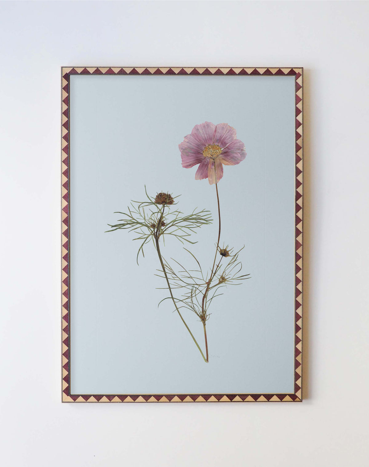 Cosmos