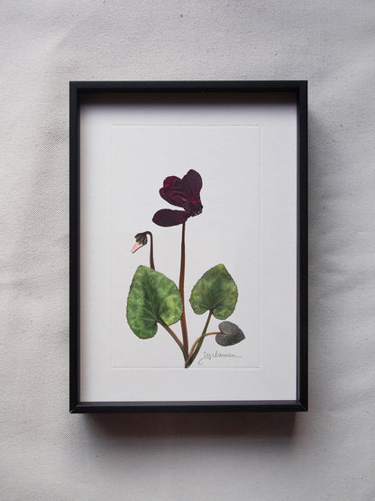 Valentine's Cyclamen Print (A5)