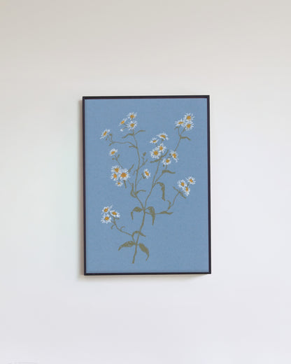 Pastel Daisy
