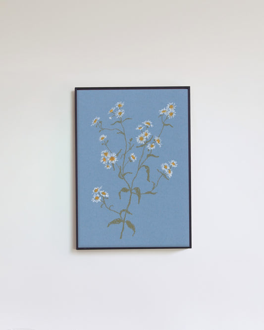 Pastel Daisy