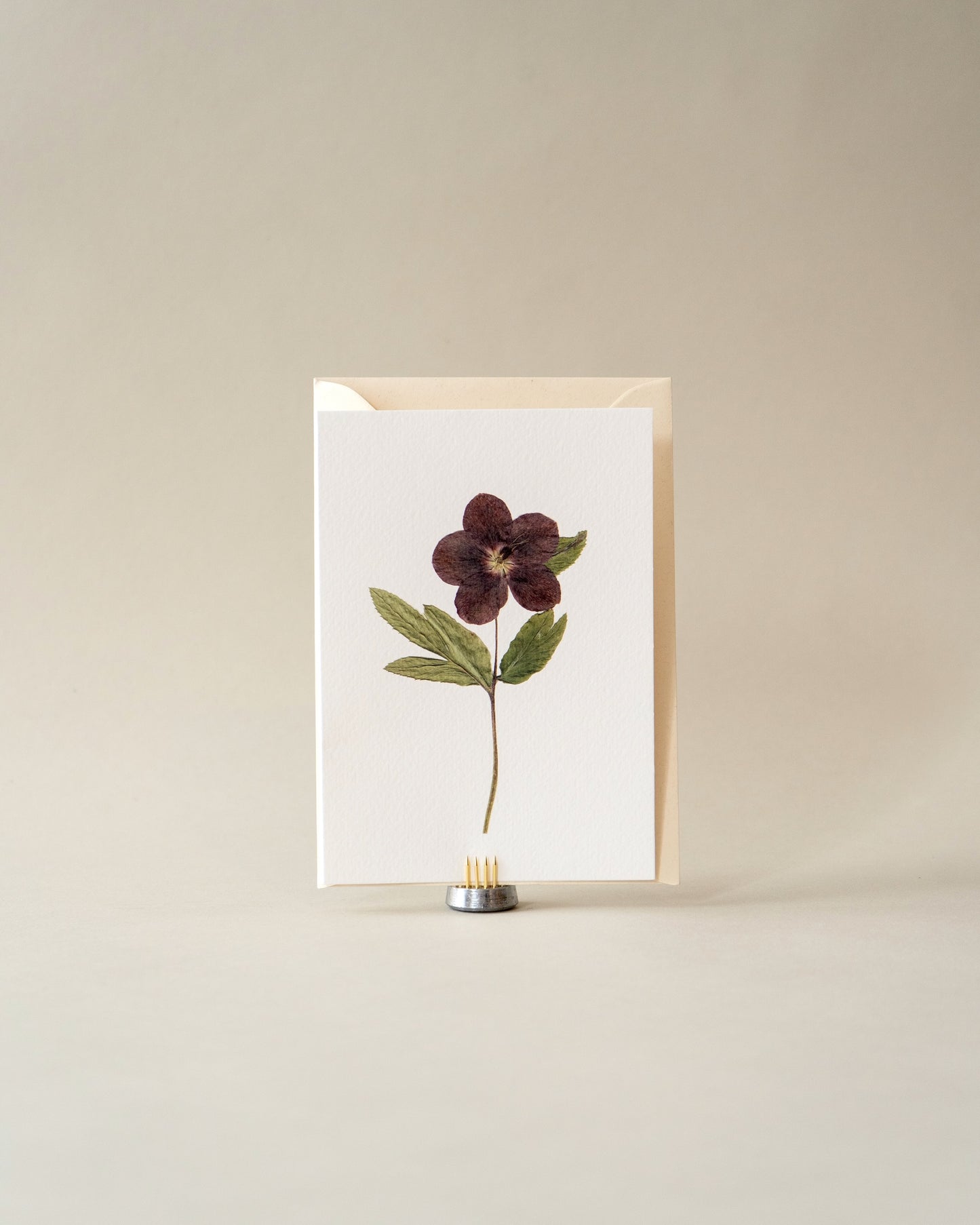 Card - December Hellebore
