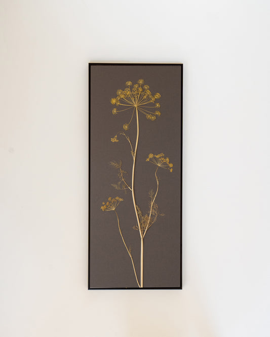 Fennel